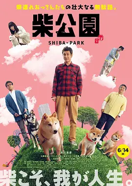 美丽的絮儿