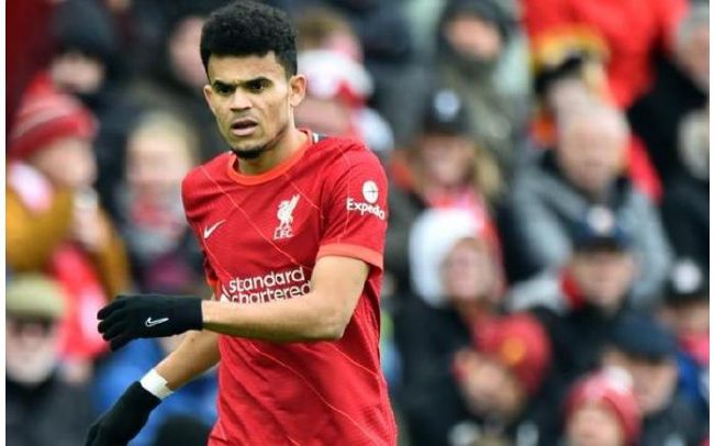 国产免费播放一区二区